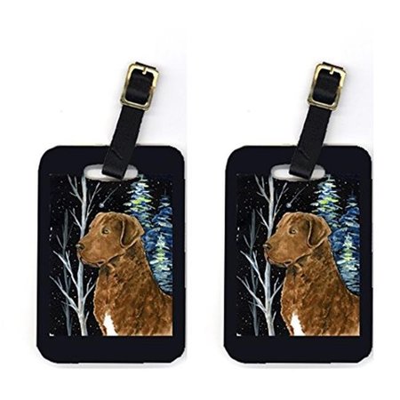 CAROLINES TREASURES Carolines Treasures SS8411BT Pair of 2 Starry Night Chesapeake Bay Retriever Luggage Tags SS8411BT